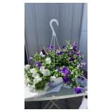 Skyï¿½s The Limit Hanging Basket