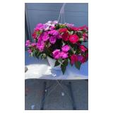 Pretty Purple Hanging Basket