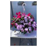 Pretty Purple Hanging Basket