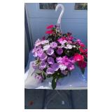 Pretty Purple Hanging Basket