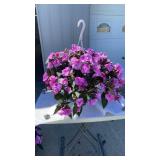 Vigorous Lavender Splash Hanging Basket