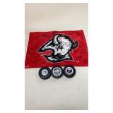 Signed Buffalo Sabers Flag And 3 Hockey Pucks