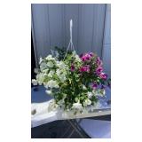 Worth A Shot MixMaster Hanging Basket