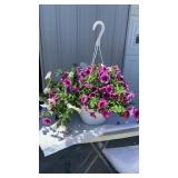 Worth A Shot MixMaster Hanging Basket