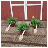 3 Everbearing Strawberry Hanging Baskets