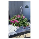 Piece Of Cake MixMaster Hanging Basket