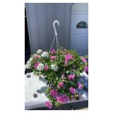Piece Of Cake MixMaster Hanging Basket