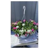 Piece Of Cake MixMasters Hanging Basket