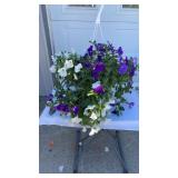 Pleno Sal Hanging Basket