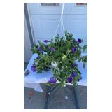 North Shore Hanging Basket