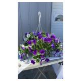 Skyï¿½s The Limit Hanging Basket