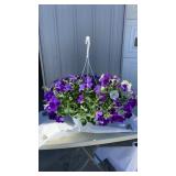 Skyï¿½s The Limit Hanging Basket