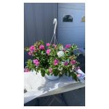 Piece Of Cake MixMaster Hanging Basket