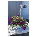 A Grape Fit MicMasters Hanging Basket