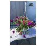 A Grape Fit MixMasters Hanging Basket