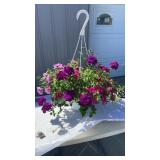 A Grape Fit MixMasters Hanging Basket