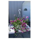Big Flirt MixMasters Hanging Basket