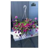 Big Flirt MixMasters Hanging Basket