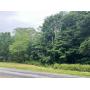 30.84 Acre Wooded Lot Park Rd. W. Castile NY