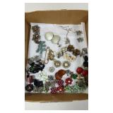Clip on Earrings and Pins