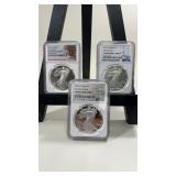2022 Silver Eagle Walking Liberty Coins