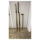 3 Walking Sticks