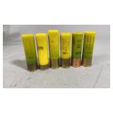 6 20 GA Remington Birdshot Shells