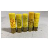 5 Assorted 20 GA Slugs