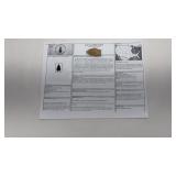 LeCroy Bifurcated Projectile Point- LeCroy Cluster