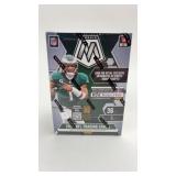 2023 Mosaic Blaster-Stained Glass & Kaleidoscopes