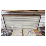 Large Display Case