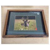 Susan Dickenson Photograph in Display Case