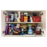 Cupboard Of Cleaning and Laundry Supplies