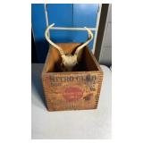 Vintage Wooden Remington Crate And Euro Mount