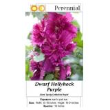4 Double Purple Hollyhock Plants