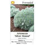5 Silver Mound Artemesia Plants