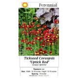 5 Red Uptick Copeopsis Plants
