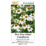 Coneflower Collection Assortment