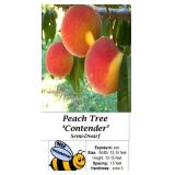 2 Freestone Contender Peach Trees