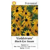 3 Rudbeckia Black-Eye Susan Plants