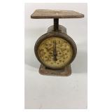 Columbia Family Scales