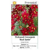 3 Red Satin Coreopsis Threadleaf Plants
