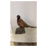 Taxidermy Mounted Pheasant