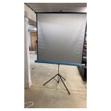 Large Projector Screne