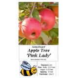 2 Pink Lady Apple Trees