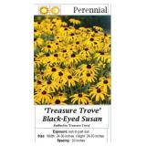 3 Treasure Trove Rudbeckia Black-Eye Susan Plants