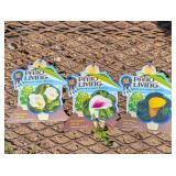 Annual Calla Lily Collection Assortment
