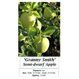 Apple Tree Orchard Collection