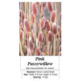 2 Pink Pussywillow Plants