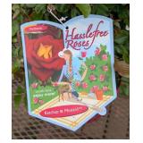 2 Hasslefree Ketchup & Mustard Rose Plants